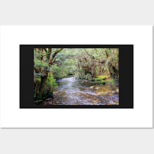 Pencil Pine Creek, Cradle Mountain, Tasmania, Australia Posters and Art